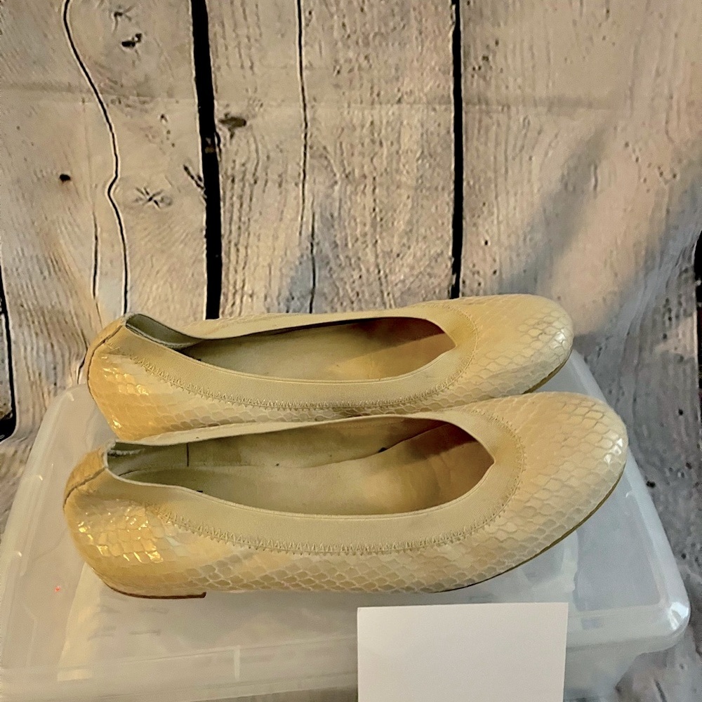Stuart Weitzman flat